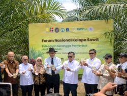 Tiga Serangga Tanzania Penyerbuk Sawit Dilepas, Berharap Produktivitas Sawit Melesat