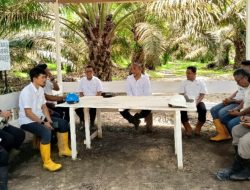 Optimalkan Produksi TBS, Dengan Utamakan Operational Excellence
