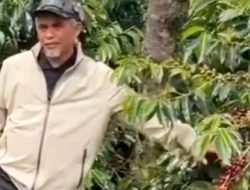 Region Head PTPN IV Regional 4, Pantau Konsistensi Mutu dan Produktivitas Kopi Kebun Kayu Aro