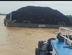 Tanpa SPB Kapal Tongkang Batubara, Bebas Beraktivitas di Sungai Batanghari