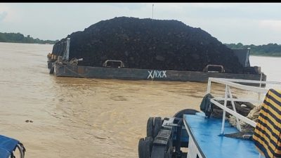 Tanpa SPB Kapal Tongkang Batubara, Bebas Beraktivitas di Sungai Batanghari