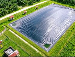 PalmCo Optimalkan Limbah Sawit Jadi Energi, Tekan Konsumsi Solar Hingga Jutaan Liter