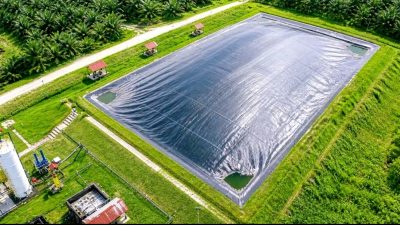 PalmCo Optimalkan Limbah Sawit Jadi Energi, Tekan Konsumsi Solar Hingga Jutaan Liter