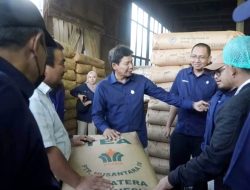 Komisaris PTPN IV PalmCo Minta Produksi dan Pemasaran Teh Kayu Aro Ditingkatkan