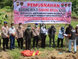 Tak Dilengkapi Sertifikat Kesehatan Karantina, Polres Tanjab Timur Musnahkan 600 Karung Bawang Merah Ilegal