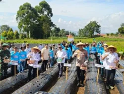 Pemprov Jambi Mulai Genjot Produksi Bawang Putih di Lahan 110 Hektare