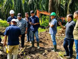 Pastikan Replanting Berjalan Optimal, Region Head PTPN IV Regional IV Tinjau ke Kebun Batang Hari