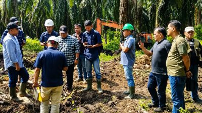 Pastikan Replanting Berjalan Optimal, Region Head PTPN IV Regional IV Tinjau ke Kebun Batang Hari