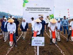 Dukung Swasembada Pangan, PTPN IV Regional IV Gelar Penanaman Perdana Pilot Project Kedelai 1.000 Ha