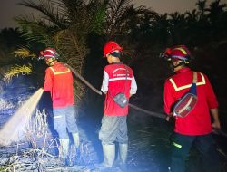 Cegah Kebakaran Meluas, Tim Gabungan Gercep Atasi Kebakaran Lahan di Desa Manis Mato Muaro Jambi