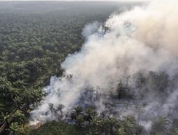 Dampak Karhutla, Sekolah Empat Kab/Kota PJJ