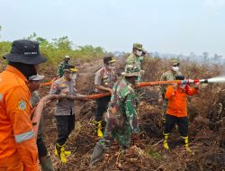 Wakapolda Jambi Pantau Penanganan Karhutla, Patroli Udara Temukan Titik Api di Labuhan Pering dan TNB Sembilang